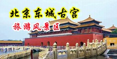 五月天视频操逼我的话题中国北京-东城古宫旅游风景区